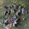 Описание картинки Possessed от _Revan по цене 950руб | Свободный Рынок Миниатюр - СРМ - изображение - №3