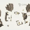 Описание картинки Armored Ruins set|11th ed | Warhammer 40K от Rev127 по цене 5 500руб | Свободный Рынок Миниатюр - СРМ - изображение - №3