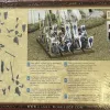 Описание картинки High Elf Warriors Regiment от Gabriel Knight по цене 7 000руб | Свободный Рынок Миниатюр - СРМ - изображение - №2
