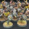 Описание картинки Darkoath Marauders, Savagers &amp; Heroes от Nalivainen по цене 25 000руб | Свободный Рынок Миниатюр - СРМ - изображение - №8