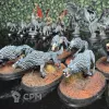 Описание картинки Dire Wolves 10 моделей от Dmiter по цене 4 500руб | Свободный Рынок Миниатюр - СРМ - изображение - №3