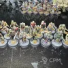 Описание картинки Deadwalker Zombies 20 штук от Dmiter по цене 7 000руб | Свободный Рынок Миниатюр - СРМ - изображение - №2