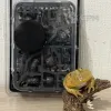 Описание картинки Primaris Ancient от Lightman по цене 4 000руб | Свободный Рынок Миниатюр - СРМ - изображение - №2