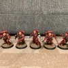 Описание картинки Assault intercessor squad от User57488 по цене 1 900руб | Свободный Рынок Миниатюр - СРМ - изображение - №2