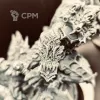 Описание картинки Скарбанд! от Хирург по цене 5 000руб | Свободный Рынок Миниатюр - СРМ - изображение - №5
