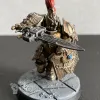 Описание картинки Custodian Guard и Allarus Custodians от Living Dead по цене 7 500руб | Свободный Рынок Миниатюр - СРМ - изображение - №7