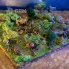 Описание картинки Дерево - Террейн для НРИ и варгеймов от Big Brain Terrain по цене 700руб | Свободный Рынок Миниатюр - СРМ - изображение - №3