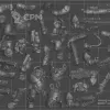 Описание картинки Hearthkyn Warriors(скан) +битсы(закачка) от WAAAAAAGHshop по цене 1 000руб | Свободный Рынок Миниатюр - СРМ - изображение - №3