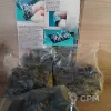 Описание картинки Warriors of Pestilence with Weapon and Shield AvatarsOfWar от KANH по цене 4 600руб | Свободный Рынок Миниатюр - СРМ - изображение - №2