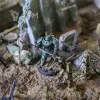 Описание картинки Святой лик ✠ Силы Церкви ✠ TRENCH CRUSADE от Big Brain Terrain по цене 1 550руб | Свободный Рынок Миниатюр - СРМ - изображение - №3