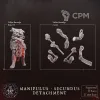 Описание картинки Manipulus Secundus Detachment от Manufactorum76 по цене 800руб | Свободный Рынок Миниатюр - СРМ - изображение - №5