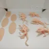 Описание картинки Демонические гончие крысы скавенов от Орки с наГорки по цене 1 000руб | Свободный Рынок Миниатюр - СРМ - изображение - №3