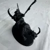 Описание картинки Mournfang Pack от mak6389 по цене 400руб | Свободный Рынок Миниатюр - СРМ - изображение - №6