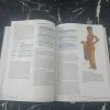 Описание картинки Котел Таши со всякой всячиной от Печатня дядюшки Бу по цене 1 500руб | Свободный Рынок Миниатюр - СРМ - изображение - №3