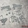 Описание картинки Snarlpack Cavalry от Бруталити по цене 950руб | Свободный Рынок Миниатюр - СРМ - изображение - №2