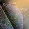 Описание картинки НРИ Чужой. Книга правил от vbif по цене 3 000руб | Свободный Рынок Миниатюр - СРМ - изображение - №4