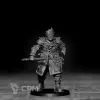 Описание картинки Children of Yggdrasil - Einherjar от Подземный человек по цене 550руб | Свободный Рынок Миниатюр - СРМ - изображение - №3