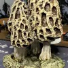 Описание картинки Огромные Грибы от Studio Cockatoo по цене 9 000руб | Свободный Рынок Миниатюр - СРМ - изображение - №4