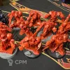 Описание картинки Blood Angels Terminators (Space Hulk 2009) от  по цене 10 000руб | Свободный Рынок Миниатюр - СРМ - изображение - №3