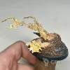 Описание картинки Endless Spells: Sylvaneth Spiteswarm Hive от Aeсius по цене 800руб | Свободный Рынок Миниатюр - СРМ - изображение - №5