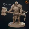 Описание картинки Star Knights от Manufactorum76 по цене 1 125руб | Свободный Рынок Миниатюр - СРМ - изображение - №4
