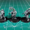 Описание картинки Stormcast Eternals Praetors от Каджит по цене 1 598руб | Свободный Рынок Миниатюр - СРМ - изображение - №3