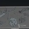 Описание картинки Инкарна (Yncarne) от Северная печать по цене 1 400руб | Свободный Рынок Миниатюр - СРМ - изображение - №2