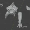 Описание картинки Genestealer - 1 Штука от MrMetalHorror по цене 100руб | Свободный Рынок Миниатюр - СРМ - изображение - №7