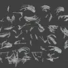 Описание картинки Pyregheists - Скан от MrMetalHorror по цене 1 000руб | Свободный Рынок Миниатюр - СРМ - изображение - №2