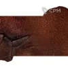 Описание картинки Футпринты - подложки для террейна (11ed GW layout) Maelstrom World от WebWay Аксессуары по цене 1 950руб | Свободный Рынок Миниатюр - СРМ - изображение - №5