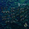 Описание картинки State Troops / Halberdiers / Spearmen - 10 Штук от MrMetalHorror по цене 1 500руб | Свободный Рынок Миниатюр - СРМ - изображение - №4