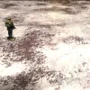 Описание картинки Игровое поле "Сталинград" ss005 6'х4' от WargamePrint по цене 3 450руб | Свободный Рынок Миниатюр - СРМ - изображение - №6