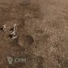 Описание картинки Игровое поле "Frontline" ss007 6'х4' от WargamePrint по цене 3 450руб | Свободный Рынок Миниатюр - СРМ - изображение - №8