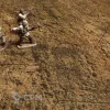 Описание картинки Игровое поле "Frontline" ss007 6'х4' от WargamePrint по цене 3 450руб | Свободный Рынок Миниатюр - СРМ - изображение - №9
