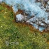 Описание картинки Игровое поле Vernal grass от Строго по-Имперски по цене 1 468руб | Свободный Рынок Миниатюр - СРМ - изображение - №4
