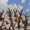 Описание картинки Лес деревьев с дуплами от Студия  по цене 100руб | Свободный Рынок Миниатюр - СРМ - изображение - №7