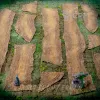 Описание картинки Модульные пыльные дороги - НРИ террейн. ДнД. от Big Brain Terrain по цене 2 950руб | Свободный Рынок Миниатюр - СРМ - изображение - №2