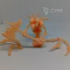 Описание картинки Skull Lord Marrowgar от Орки с наГорки по цене 400руб | Свободный Рынок Миниатюр - СРМ - изображение - №2