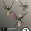 Описание картинки Чумные Дроны | Plague drones от W1L50n по цене 900руб | Свободный Рынок Миниатюр - СРМ - изображение - №2