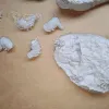 Описание картинки War Drakes of Rhûn от Серж по цене 1 500руб | Свободный Рынок Миниатюр - СРМ - изображение - №7