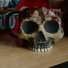 Описание картинки Bloody Skull от Строго по-Имперски по цене 4 790руб | Свободный Рынок Миниатюр - СРМ - изображение - №4