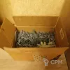 Описание картинки Различная битсня АоС и 40к от Rankengan по цене 100руб | Свободный Рынок Миниатюр - СРМ - изображение - №2