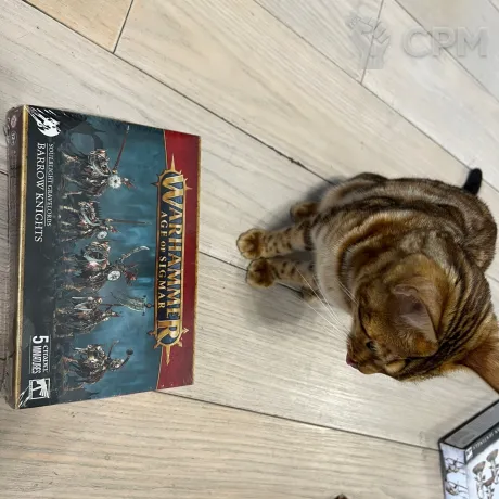 Описание картинки Soulblight Gravelords Barrow Knights от Sir Mordred по цене 5 100руб | Свободный Рынок Миниатюр - СРМ