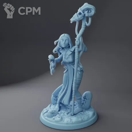 Описание картинки Olseen the Soothsayer ( Female Warlock / Human Fortune Teller / Divination Wizard / Cultis от PocketSized Prints по цене 250руб | Свободный Рынок Миниатюр - СРМ