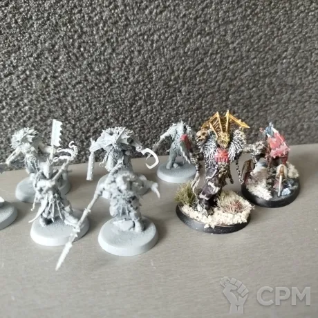 Описание картинки Claws of Karanak+карты от Artaрion по цене 3 000руб | Свободный Рынок Миниатюр - СРМ
