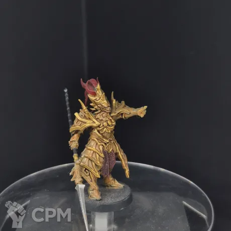 Описание картинки Dragonslayer Ornstein от head_of_fire по цене 1 000руб | Свободный Рынок Миниатюр - СРМ
