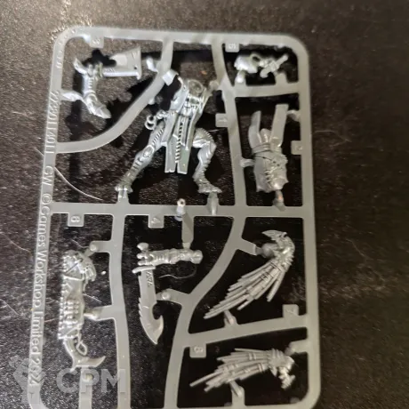 Описание картинки Kroot Flesh Shaper от User19033 по цене 1 350руб | Свободный Рынок Миниатюр - СРМ