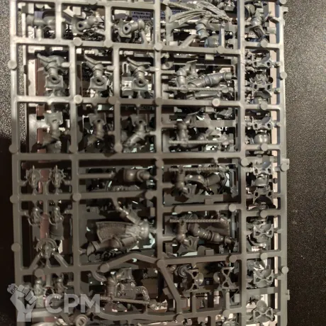 Описание картинки Stormcast Eternals Paladins от User19033 по цене 4 500руб | Свободный Рынок Миниатюр - СРМ