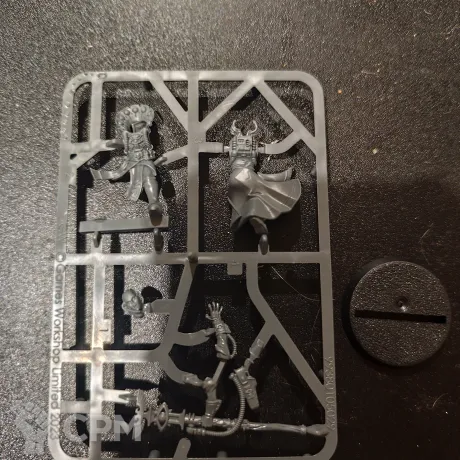 Описание картинки Primaris Psyker от User19033 по цене 2 880руб | Свободный Рынок Миниатюр - СРМ