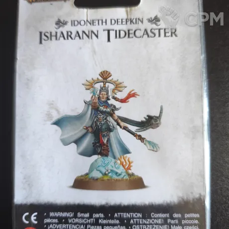 Описание картинки Isharann Tidecaster от User19033 по цене 2 700руб | Свободный Рынок Миниатюр - СРМ